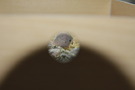 110817 --- Inte riktigt s�ker p� vem det �r, men dock en kul bild!